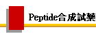 PeptideX