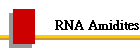 RNA Amidites